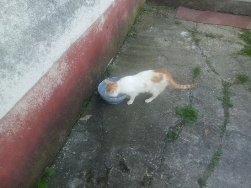 zoza1958 uploaded   358  day/s  ago