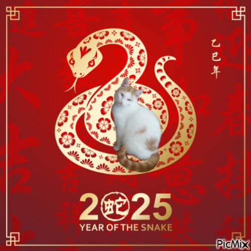 zoza1958 uploaded   1 year/s ago