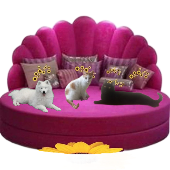 Prince Smokey Jay of the zoza1958 family