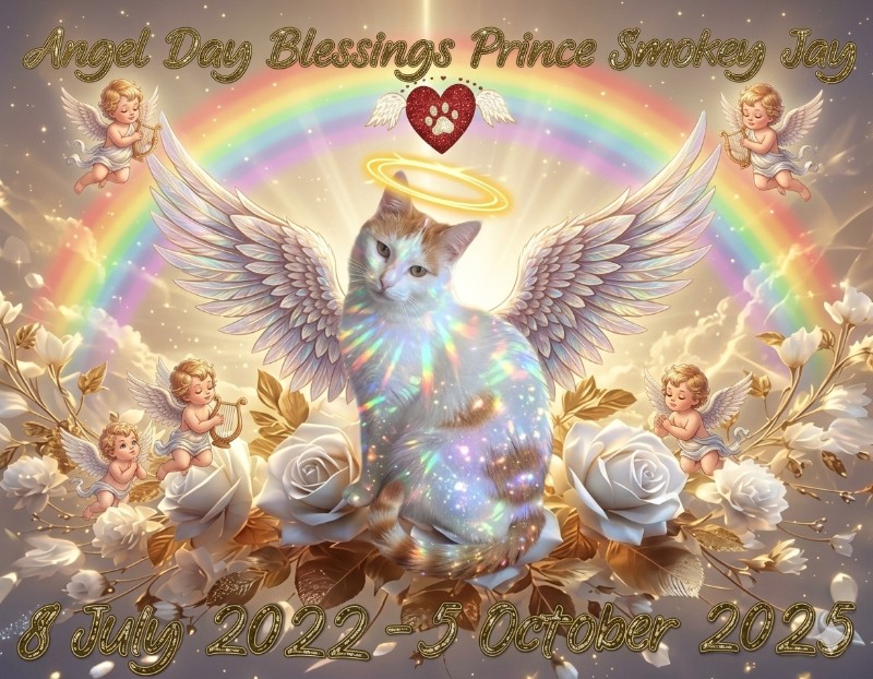 Prince Smokey Jay of the zoza1958 family
