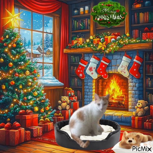 Prince Smokey Jay of the zoza1958 family