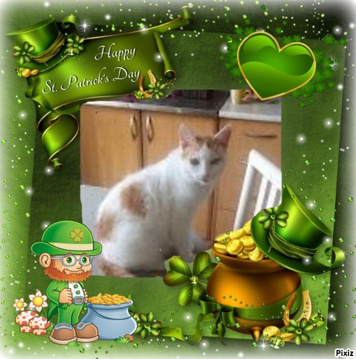 Prince Smokey Jay of the zoza1958 family