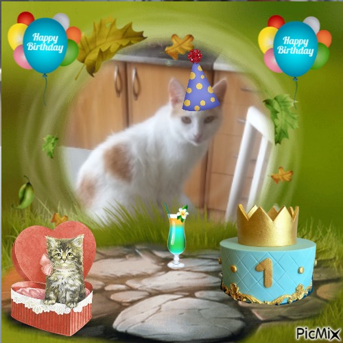 Prince Smokey Jay of the zoza1958 family