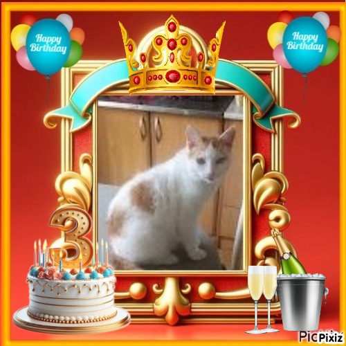 Prince Smokey Jay of the zoza1958 family