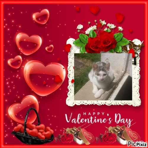 Prince Buki of the zoza1958 family