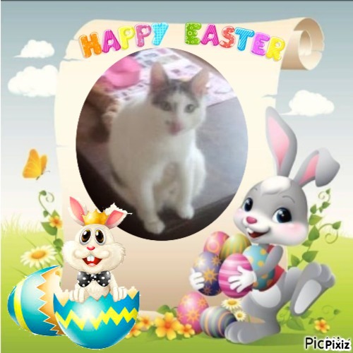 zoza1958 uploaded   6  day/s  ago