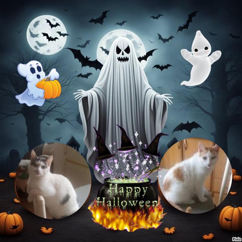 Prince Buki of the zoza1958 family