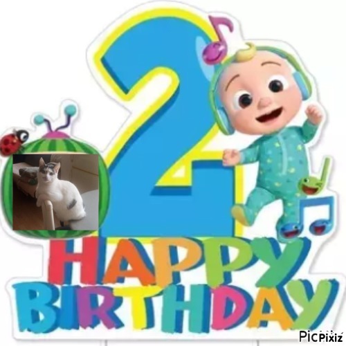 zoza1958 uploaded   1 year/s ago