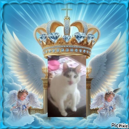 Prince Buki of the zoza1958 family
