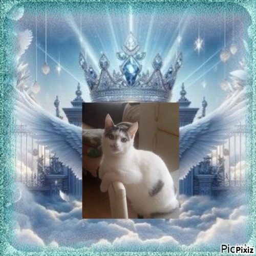 Prince Buki of the zoza1958 family