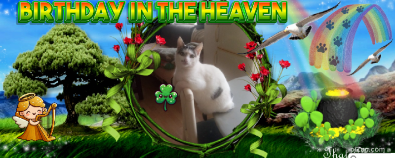 zoza1958 uploaded   51  day/s  ago