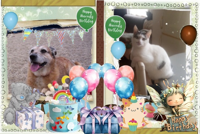 Prince Buki of the zoza1958 family