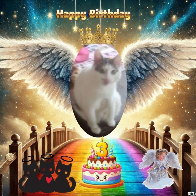 zoza1958 uploaded   51  day/s  ago