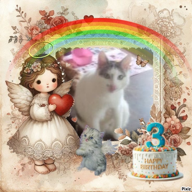 zoza1958 uploaded   51  day/s  ago