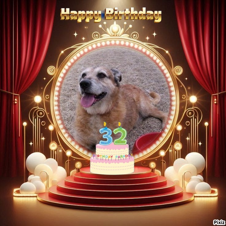 zoza1958 uploaded   51  day/s  ago