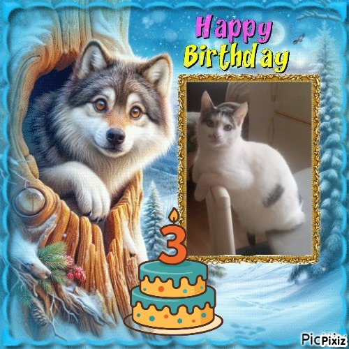 zoza1958 uploaded   51  day/s  ago