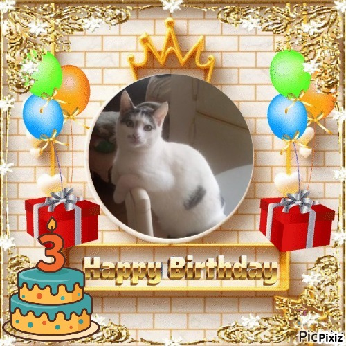 zoza1958 uploaded   51  day/s  ago