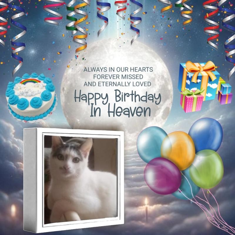 zoza1958 uploaded   51  day/s  ago