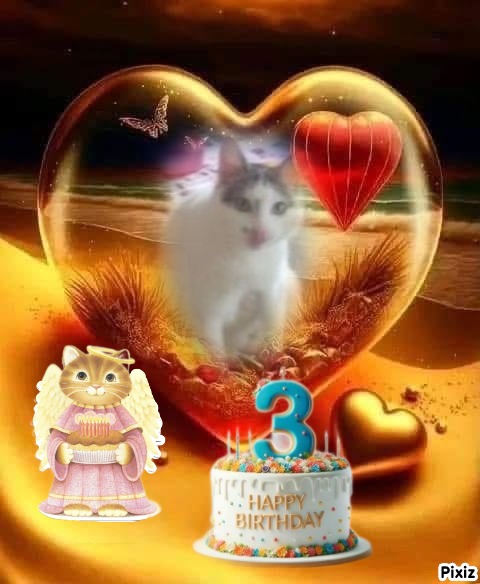 zoza1958 uploaded   51  day/s  ago