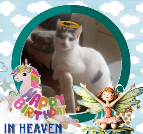 Prince Buki of the zoza1958 family