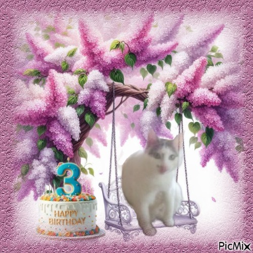 zoza1958 uploaded   51  day/s  ago