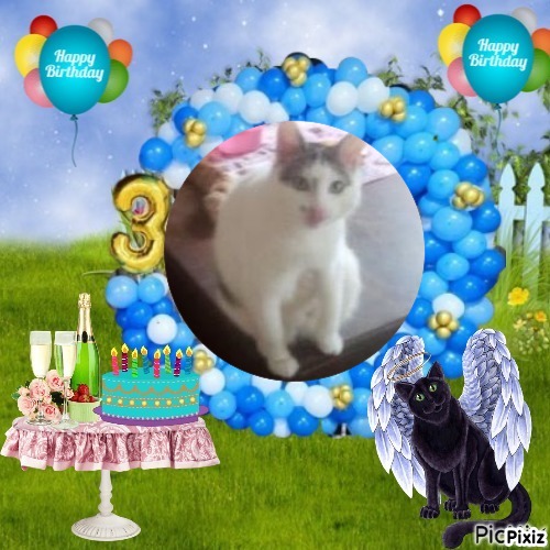 zoza1958 uploaded   51  day/s  ago