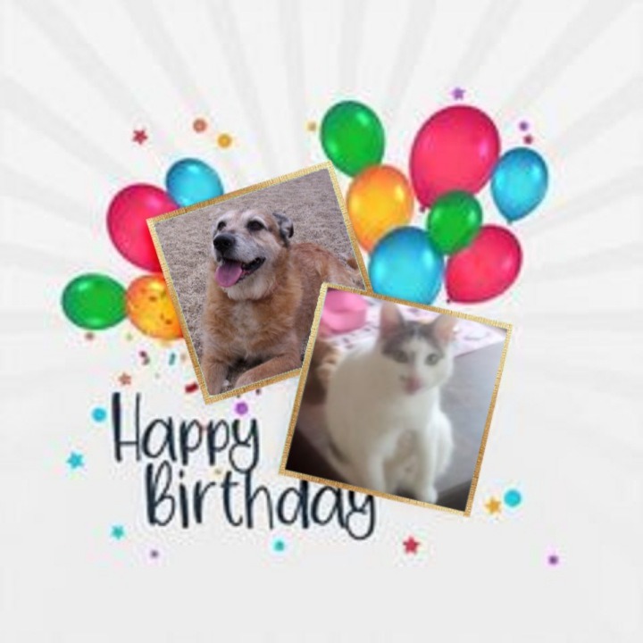 Prince Buki of the zoza1958 family