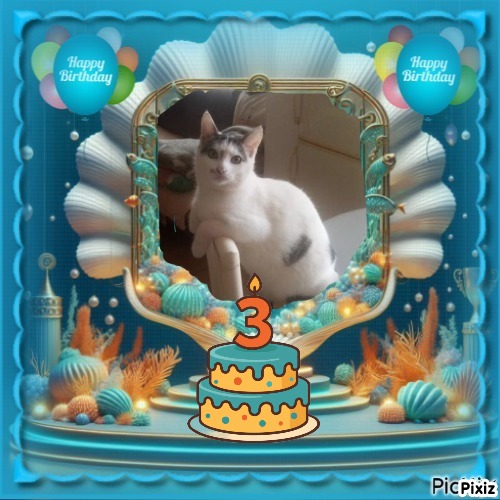 zoza1958 uploaded   51  day/s  ago