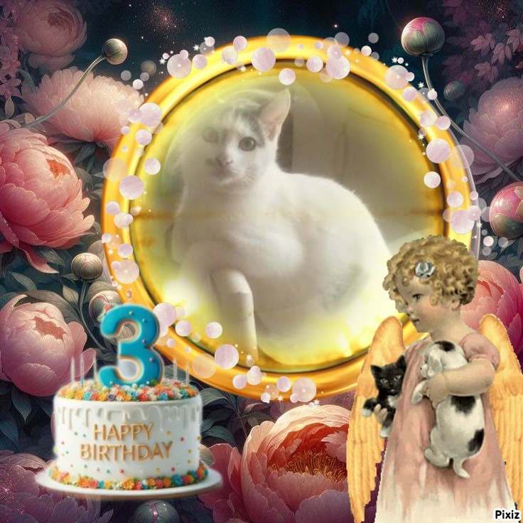 zoza1958 uploaded   51  day/s  ago