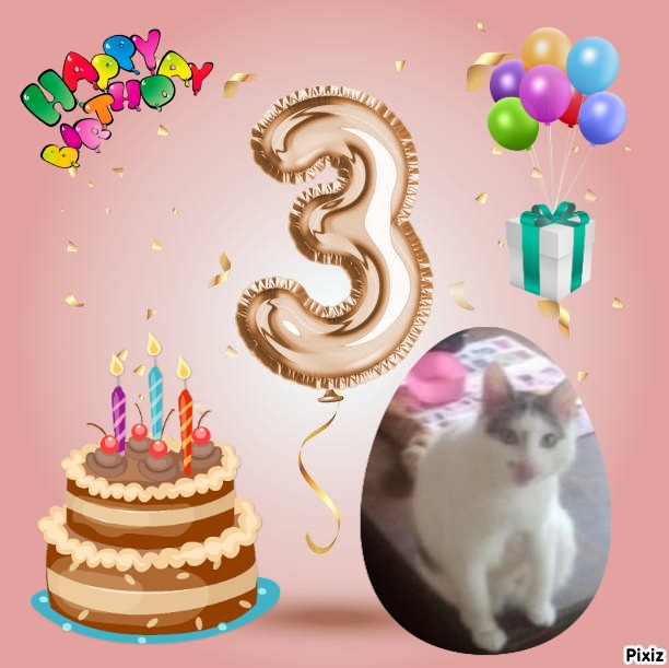 zoza1958 uploaded   51  day/s  ago