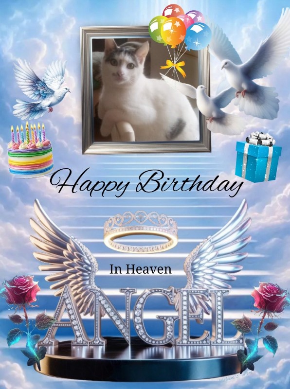 zoza1958 uploaded   51  day/s  ago