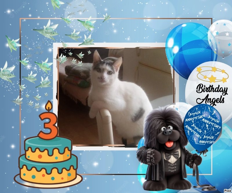 zoza1958 uploaded   51  day/s  ago