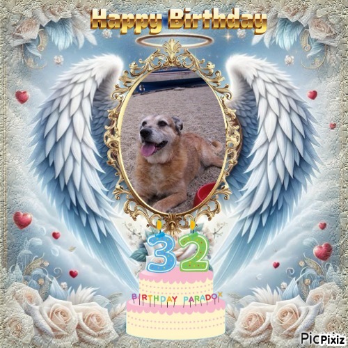 zoza1958 uploaded   51  day/s  ago