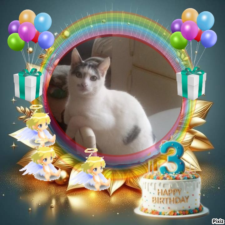 zoza1958 uploaded   51  day/s  ago