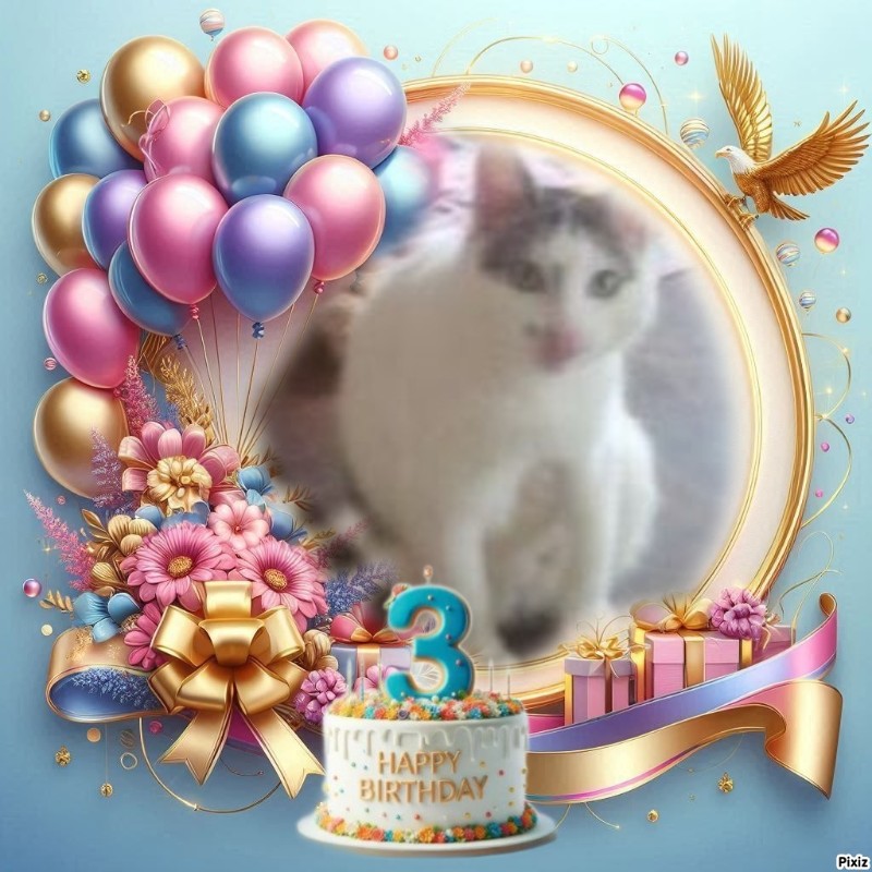 zoza1958 uploaded   51  day/s  ago