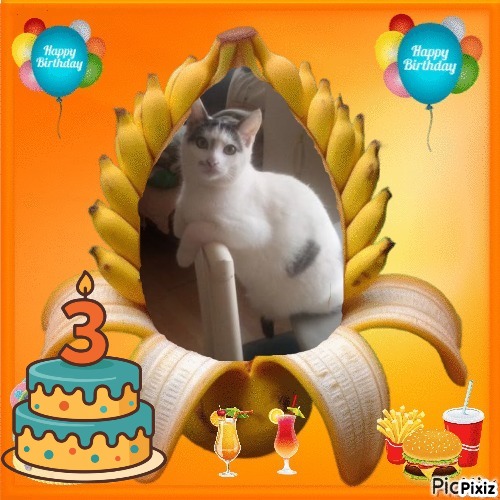 zoza1958 uploaded   51  day/s  ago