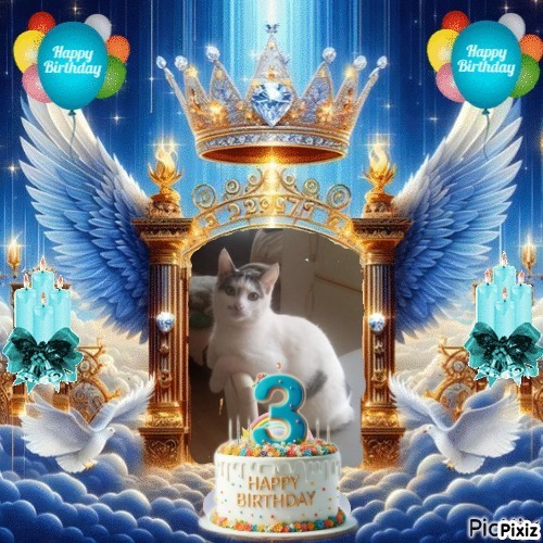 zoza1958 uploaded   51  day/s  ago