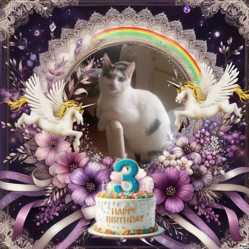 zoza1958 uploaded   51  day/s  ago