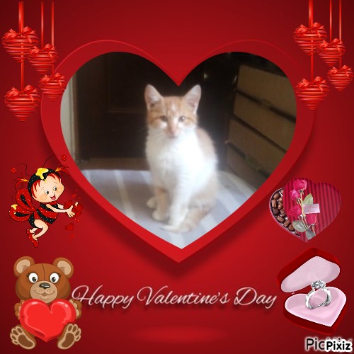 Prince Bocko of the zoza1958 family