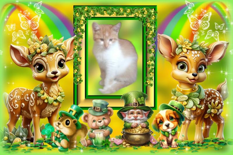 Prince Bocko of the zoza1958 family