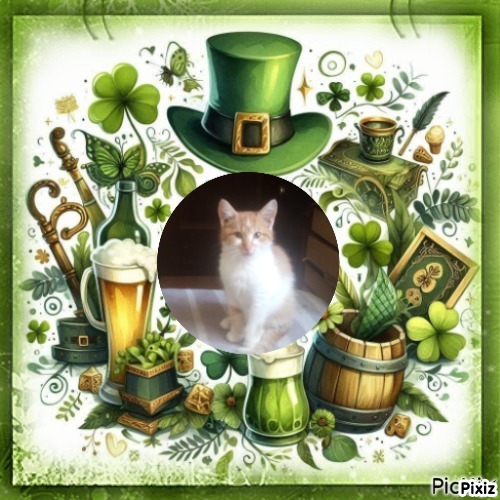 Prince Bocko of the zoza1958 family