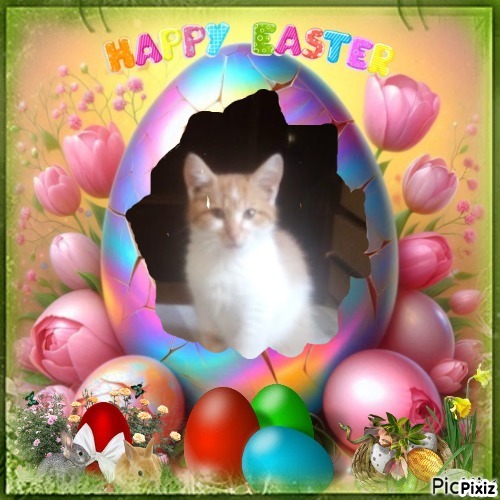 zoza1958 uploaded   6  day/s  ago