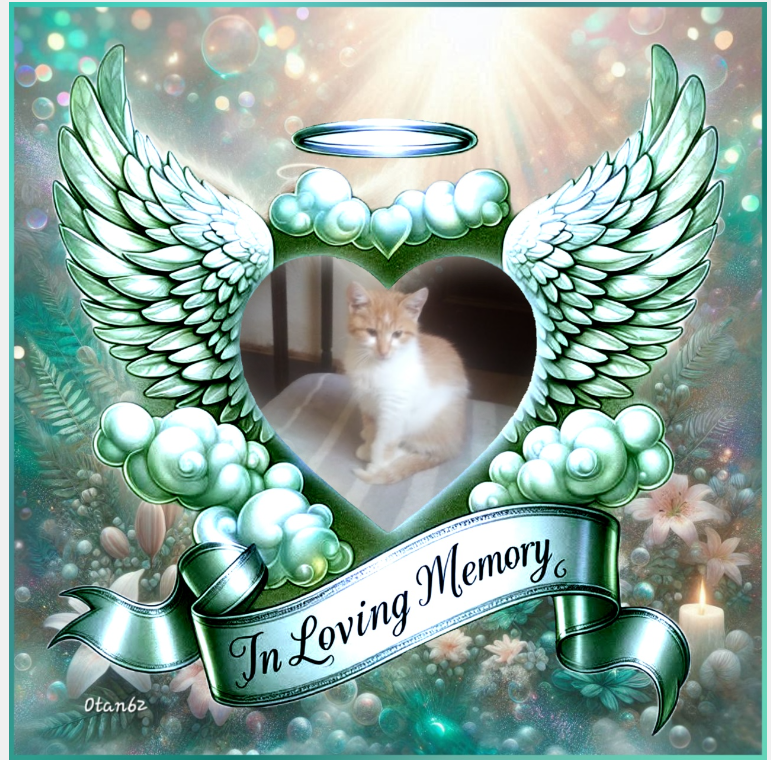 Prince Bocko of the zoza1958 family