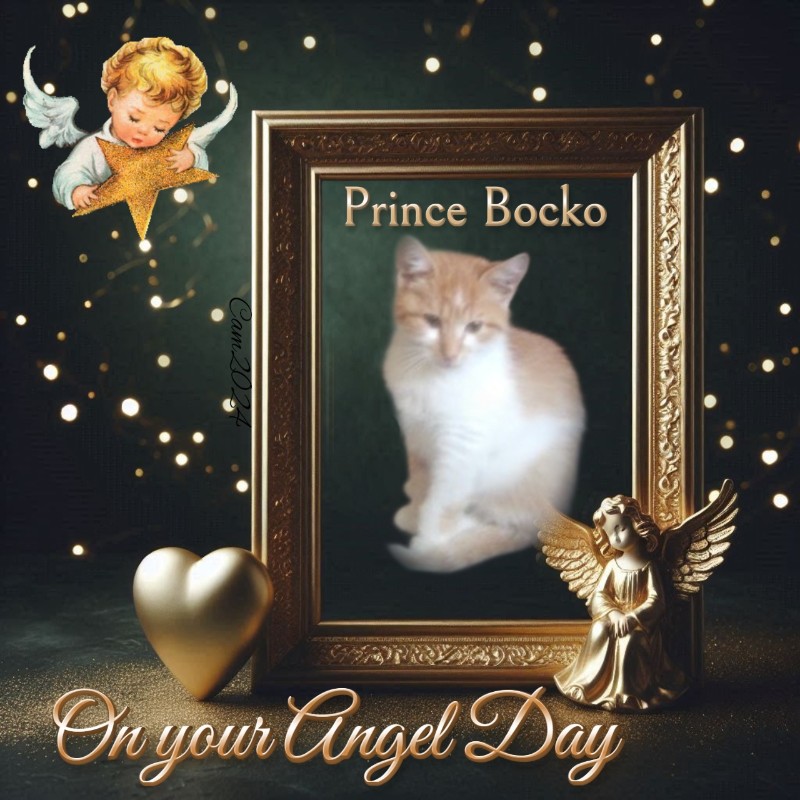 Prince Bocko of the zoza1958 family