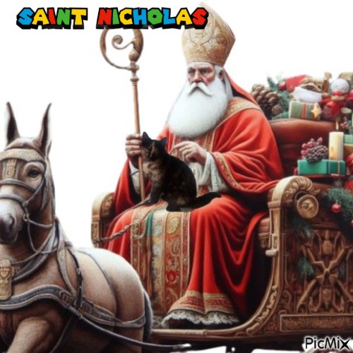 Princess Coco of the zoza1958 family