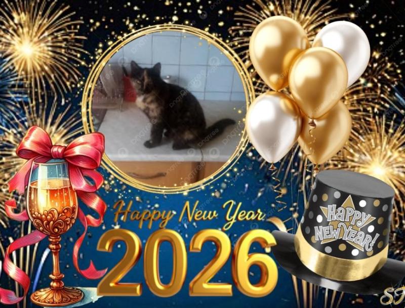 Princess Coco of the zoza1958 family