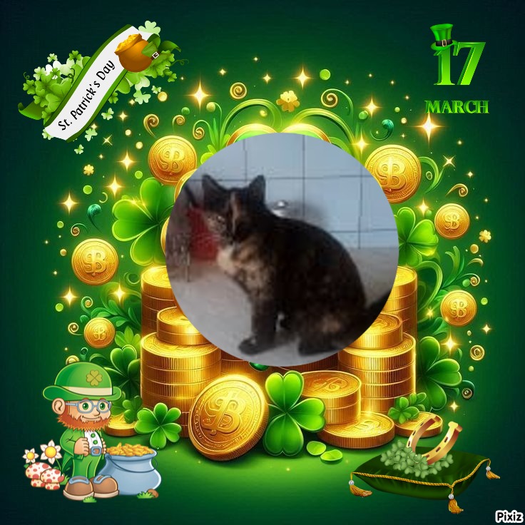 Princess Coco of the zoza1958 family