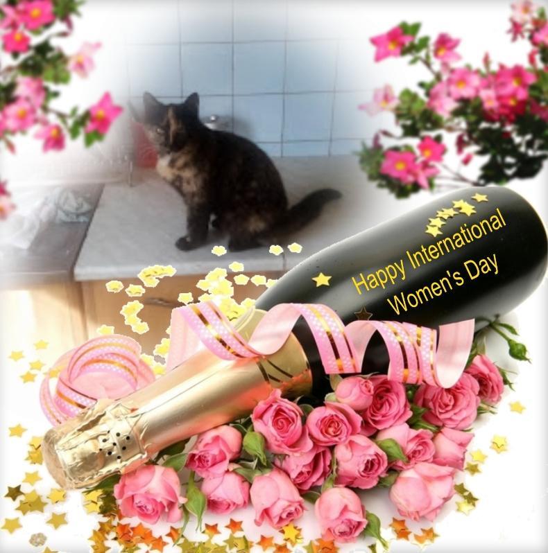 Princess Coco of the zoza1958 family