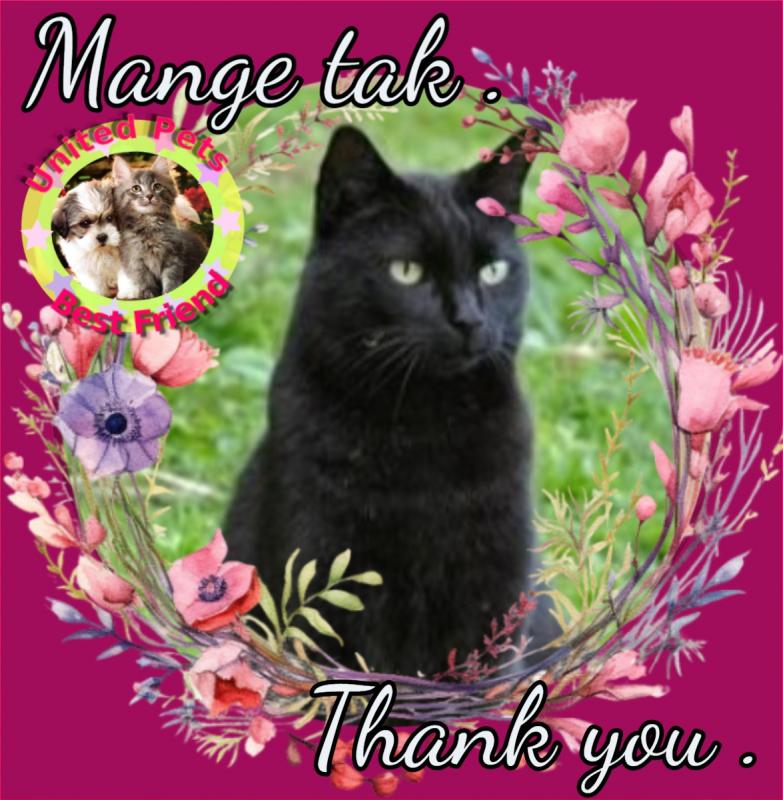 Princess Coco of the zoza1958 family