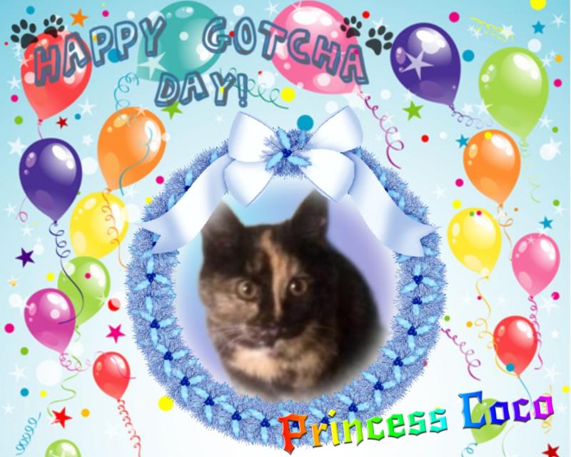 Princess Coco of the zoza1958 family